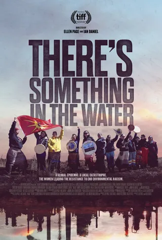 毒水：环境种族主义 There's Something in the Water (2019)