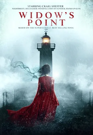 寡妇点 Widow's Point (2019)