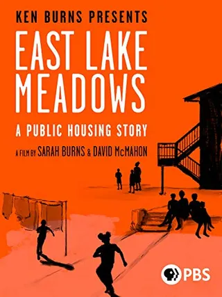 东湖草地：一个关于公共住房的故事 East Lake Meadows: A Public Housing Story (2020)