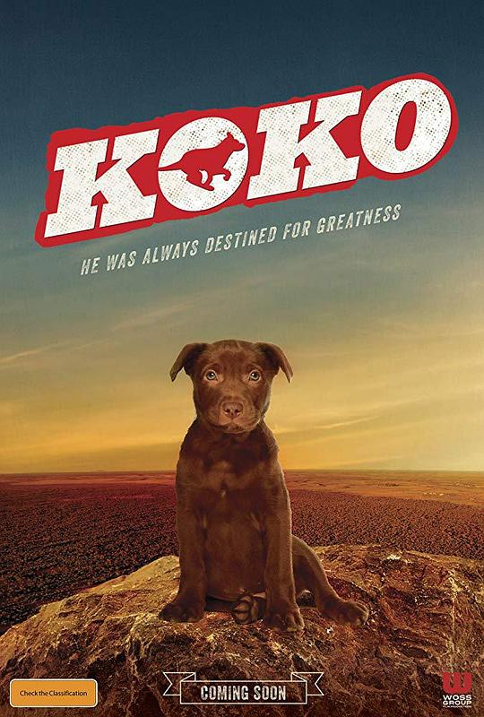 Koko:红犬历险记 Koko: A Red Dog Story (2019)