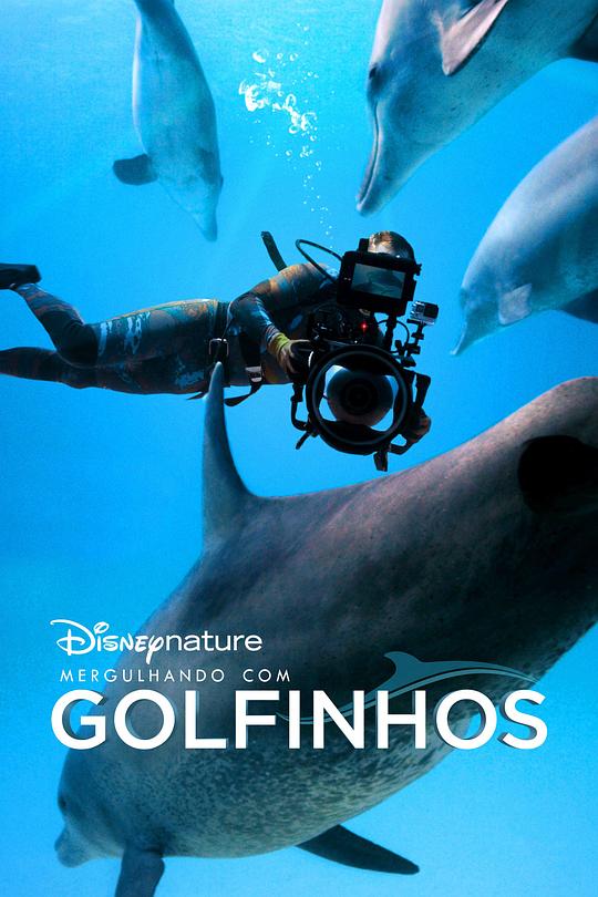 《海豚礁》幕后特辑 Diving with Dolphins (2020)