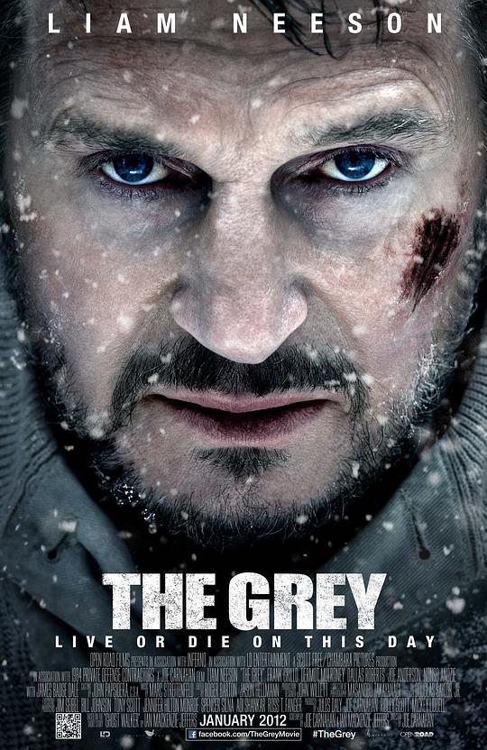 人狼大战 The Grey (2011)