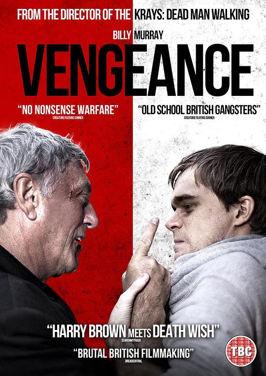 全力反击 Vengeance (2020)