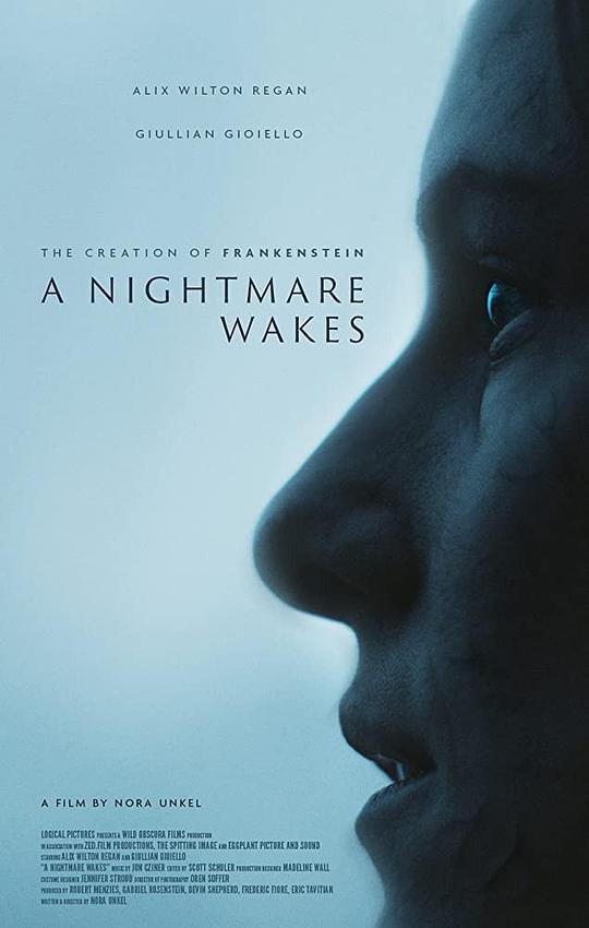 噩梦觉醒 A Nightmare Wakes (2019)