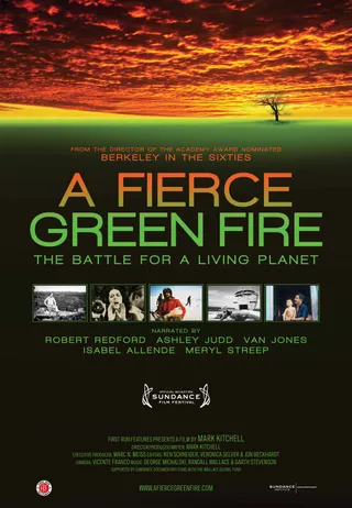 熊熊绿焰 A Fierce Green Fire (2011)