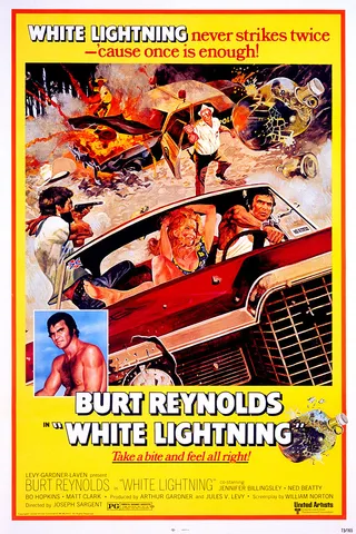 白色闪电 White Lightning (1973)