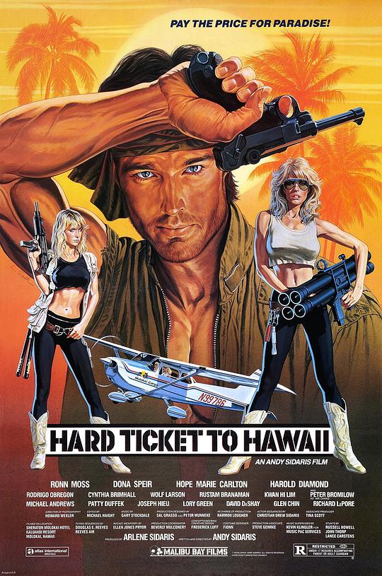 落霞征雁 Hard Ticket to Hawaii (1987)