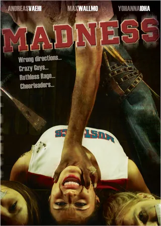疯狂 Madness (V) (2010)