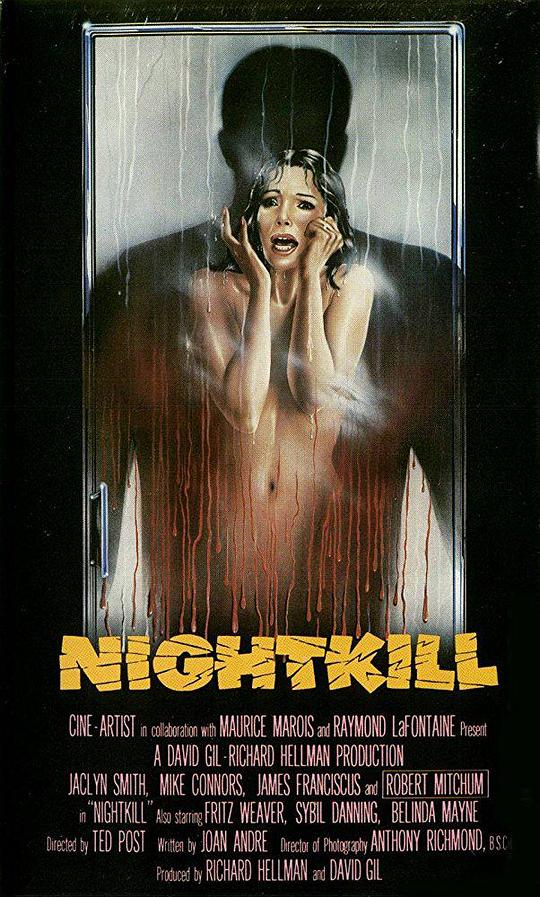 午夜追踪 Nightkill (1980)