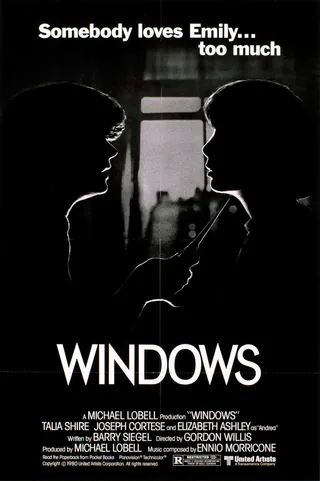 窗 Windows (1980)