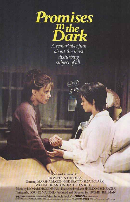 黑暗中的承诺 Promises in the Dark (1979)