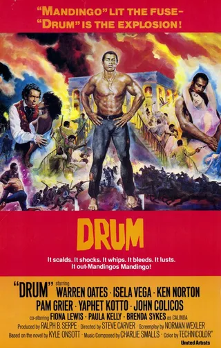 神龙猛丁哥 Drum (1976)