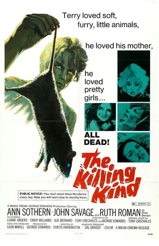 杀戮类型 The Killing Kind (1973)