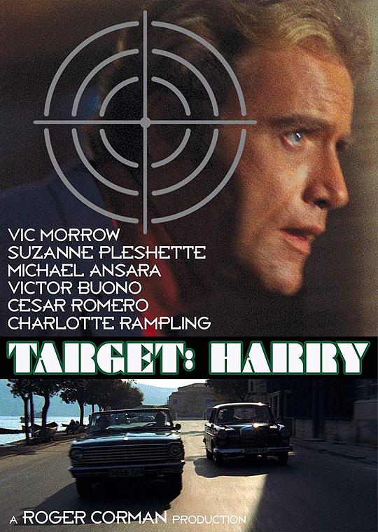 奇案大行动 Target: Harry (1969)