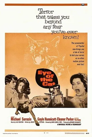 猫儿擒凶记 Eye of the Cat (1969)