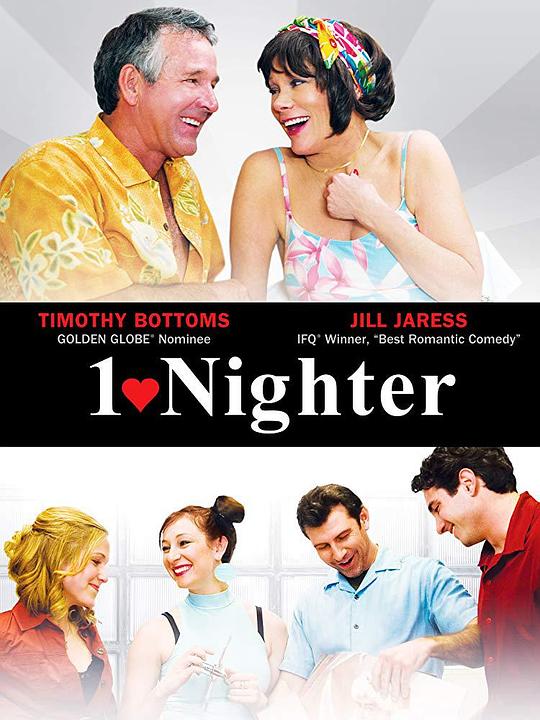 The One Nighter  (2010)