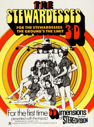空中小姐 The Stewardesses (1969)