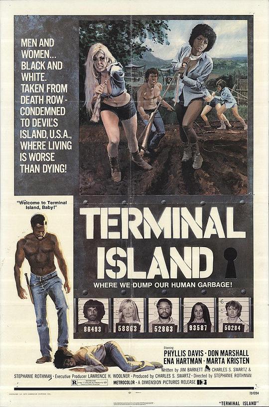 岛码头 Terminal Island (1973)