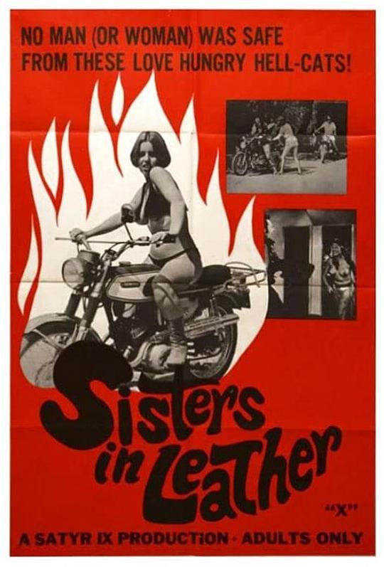 皮衣姐妹 Sisters in Leather (1969)
