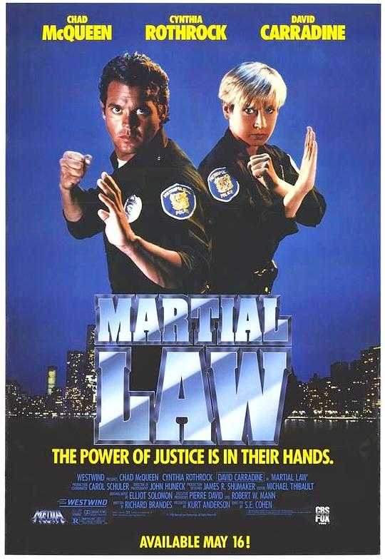 卧底飞龙 Martial Law (1991)