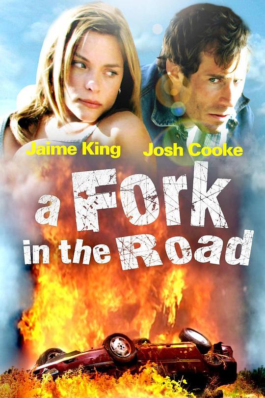 岔路口 A Fork in the Road (2010)