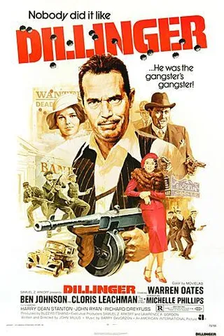 大盗龙虎榜 Dillinger (1973)