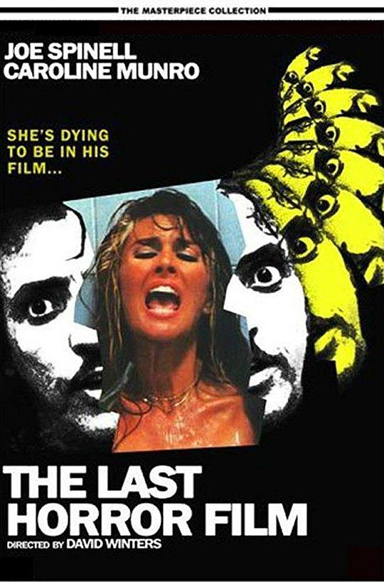 最后的恐怖电影 The Last Horror Film (1982)