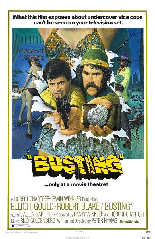铁胆双雄 Busting (1974)