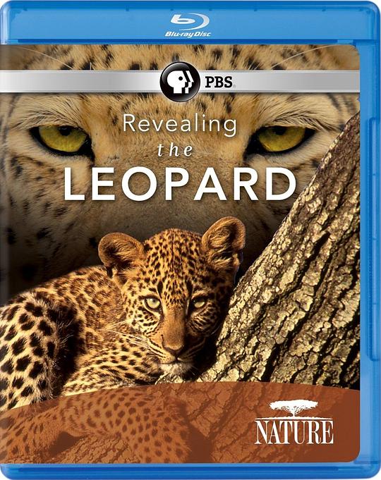 揭密美洲豹 Revealing the Leopard (2010)