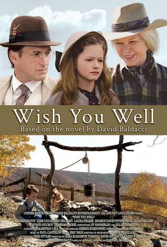 愿你一切安好 Wish You Well (2013)