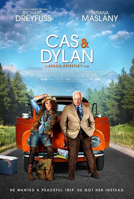 凯斯与迪伦 Cas & Dylan (2013)