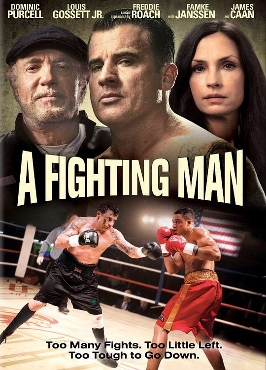 一个人的战斗 A Fighting Man (2014)