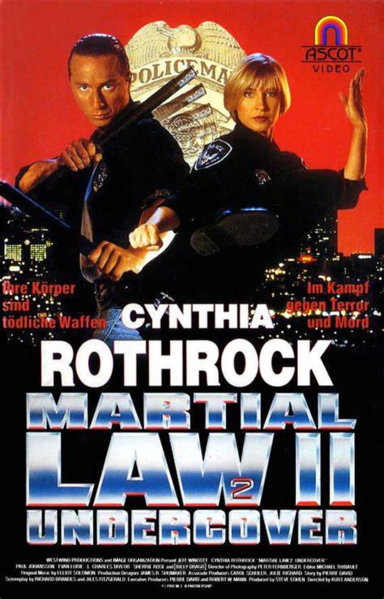 卧底飞龙2 Martial Law II: Undercover (1992)