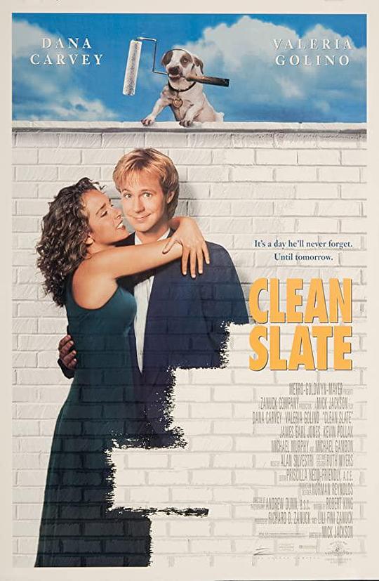 从头再来 Clean Slate (1994)