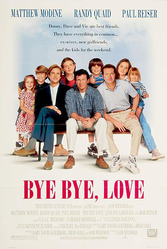 爱在分别时 Bye Bye, Love (1995)