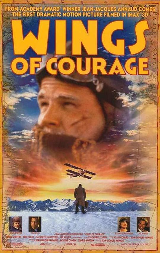 勇气之翼 Wings of Courage (1995)