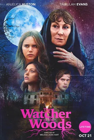 林中窥目 The Watcher in the Woods (2017)