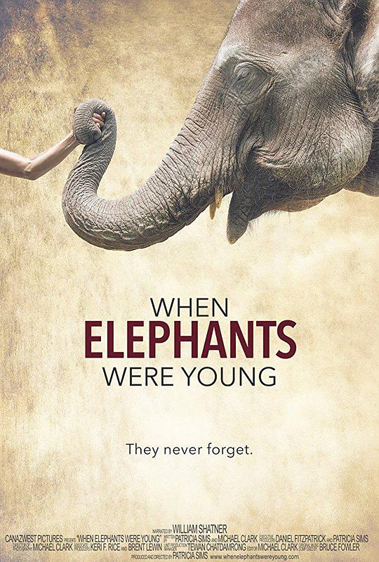 大象年幼时 When Elephants Were Young (2016)