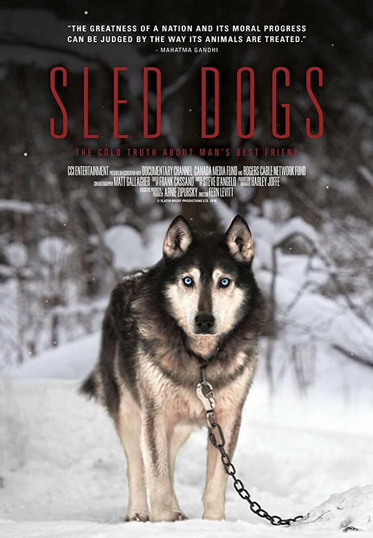 雪橇犬 Sled Dogs (2016)