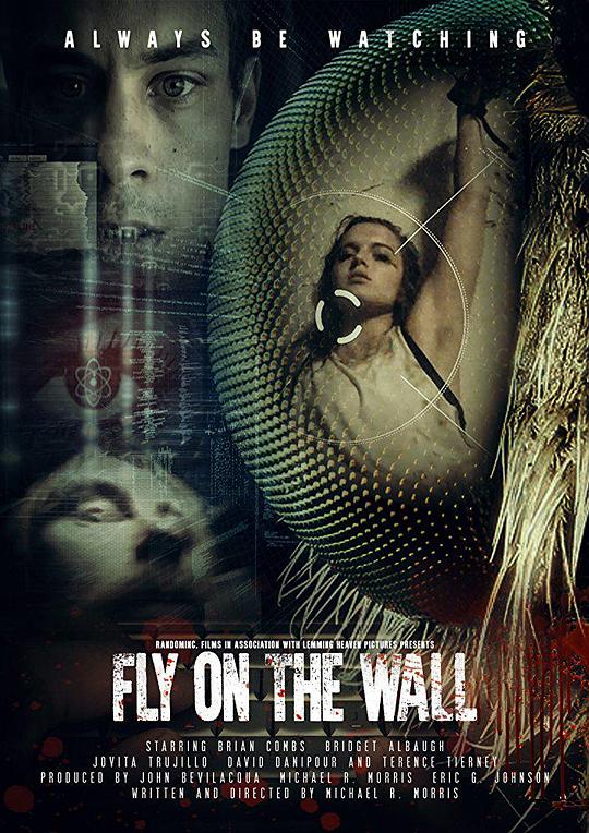 Fly on the Wall  (2017)