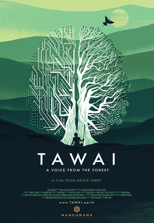 Tawai: A voice from the forest  (2017)