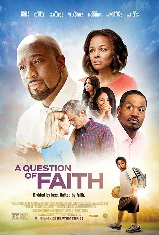 信仰问题 A Question of Faith (2017)