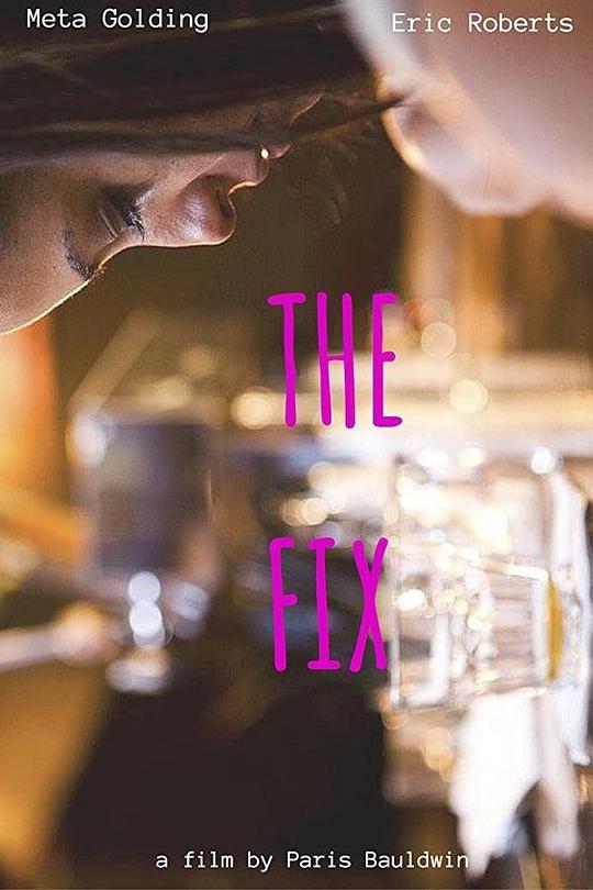 The Fix  (2015)