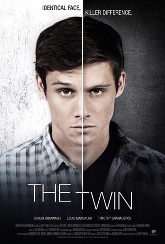 The Twin  (2017)