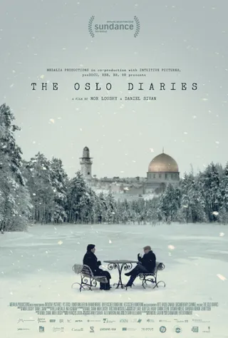 奥斯陆日记 The Oslo Diaries (2018)