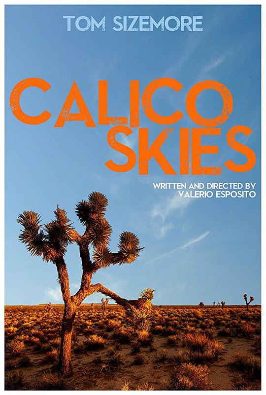 印花天空 Calico Skies (2016)