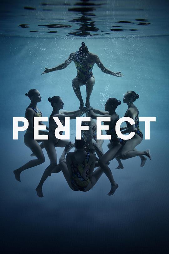 完美表现 Perfect (2016)