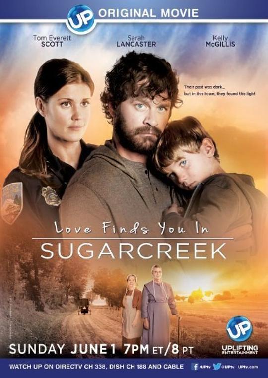 甜蜜湾之恋 Love Finds You in Sugarcreek (2014)