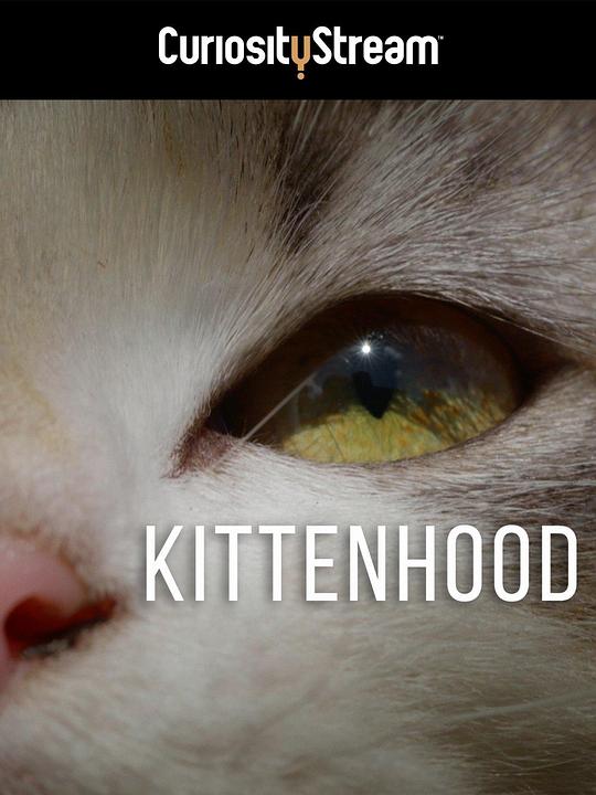 Kittenhood  (2015)