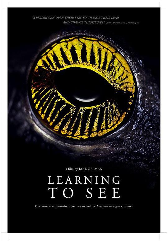Learning to See: The World of Insects  (2016)